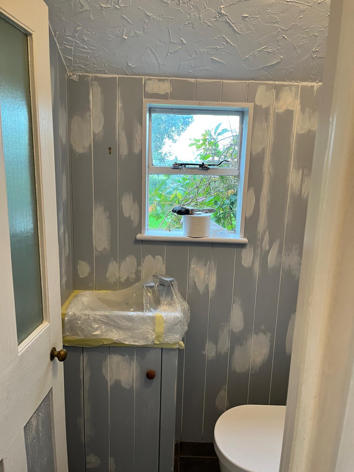 Hallway & Toilet project